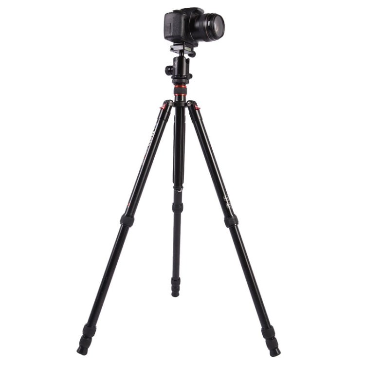 Triopo MT-2804C Adjustable Portable Aluminum Tripod with NB-2S Ball Head for Canon Nikon Sony DSLR Camera(Black) - Camera Accessories by TRIOPO | Online Shopping UK | buy2fix