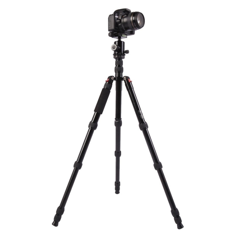 Triopo MT-2805C Adjustable Portable Aluminum Tripod (Gold) with NB-2S Ball Head (Black) for Canon Nikon Sony DSLR Camera - Camera Accessories by TRIOPO | Online Shopping UK | buy2fix