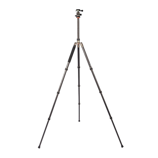 Triopo GT-2504X8.C Adjustable Portable Carbon Fiber Tripod with B-1 Aluminum Ball Head for Canon Nikon Sony DSLR Camera by TRIOPO