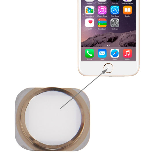 Home Button for iPhone 6(White) by buy2fix
