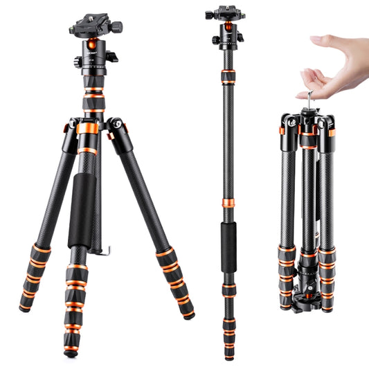 K&F CONCEPT KF09.077V3 Portable Carbon Fiber Camera Tripod - Camera Accessories by K&F | Online Shopping UK | buy2fix