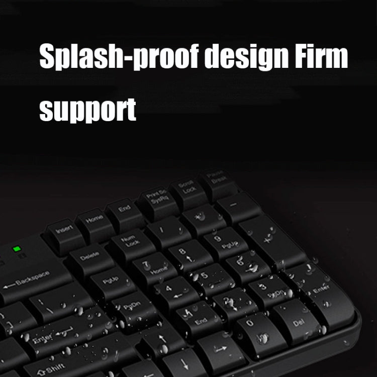 Rapoo X120 Computer Business Office USB Wired Keyboard and Mouse Set(Black) - Wired Keyboard by Rapoo | Online Shopping UK | buy2fix