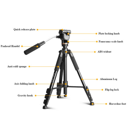 QingZhuangShiDai Q111S Aluminum Alloy Mobile Phone Camera Photography Tripod(Black) - Tripods by QingZhuangShiDai | Online Shopping UK | buy2fix