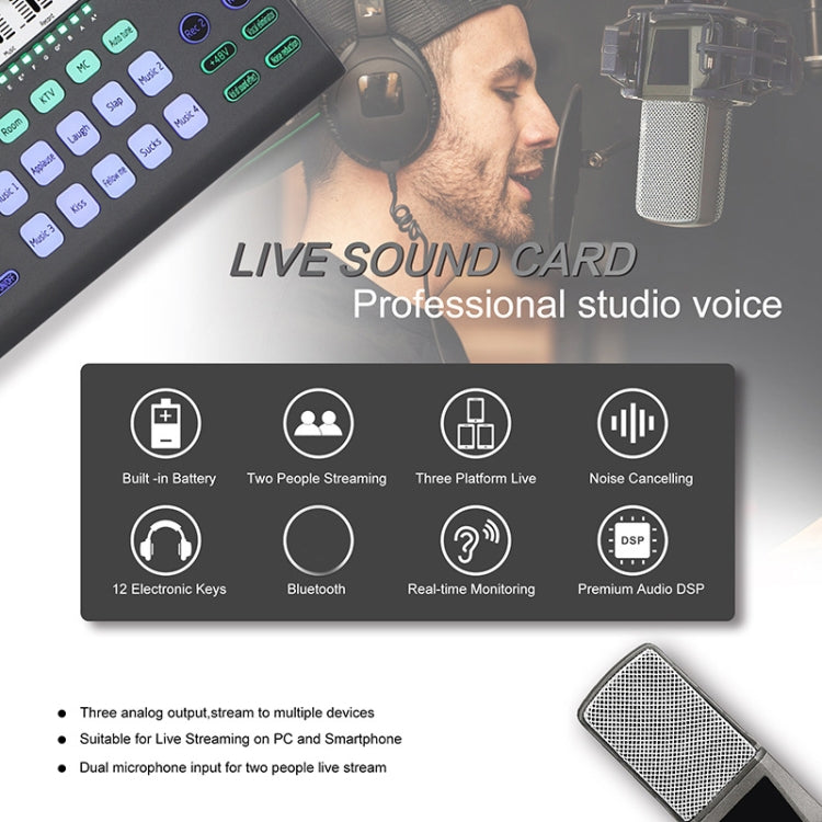 SK-200 Condenser Microphone Live Recording Equipment,Specification: Separate Sound Card - Consumer Electronics by buy2fix | Online Shopping UK | buy2fix