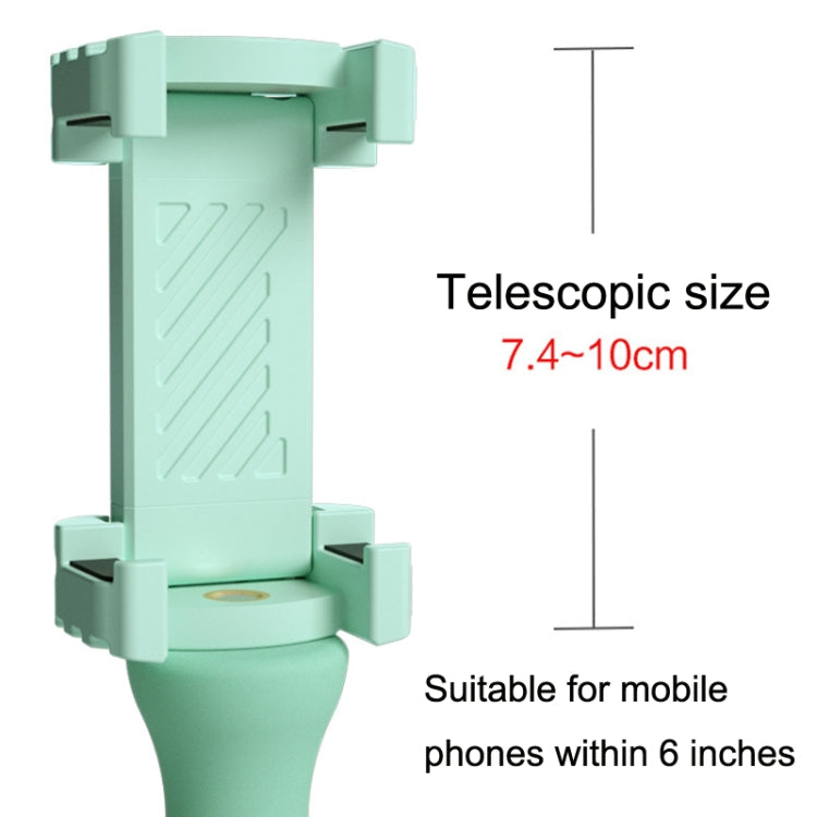 3PCS Caterpillar Mobile Phone Stand Magic Suction Cup Bedside Desktop Bracket(Green) - Lazy Bracket by buy2fix | Online Shopping UK | buy2fix