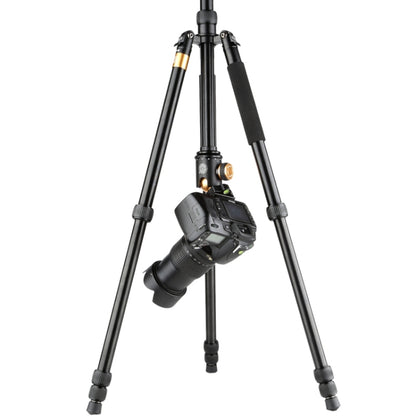 QingZhuangShiDai  Q999B Portable and Stable Photography SLR Digital Camera Tripod(Gold) - Camera Accessories by QingZhuangShiDai | Online Shopping UK | buy2fix