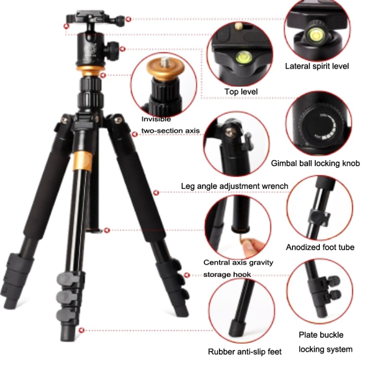 QingZhuangShiDai Q570 Multifunctional Digital SLR Camera Portable Tripod(Black) - Camera Accessories by QingZhuangShiDai | Online Shopping UK | buy2fix