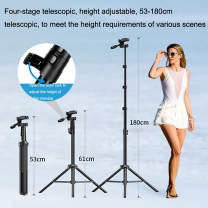 APEXEL APL-JJ070 Outdoor Phone Live With Yundai SLR Portable Landing Selfie Rod Tripod(Black) - Consumer Electronics by APEXEL | Online Shopping UK | buy2fix