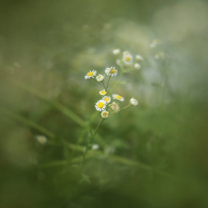 67mm Central Exposure Edge Blur Close-Up Photography Special Effects Filter by buy2fix