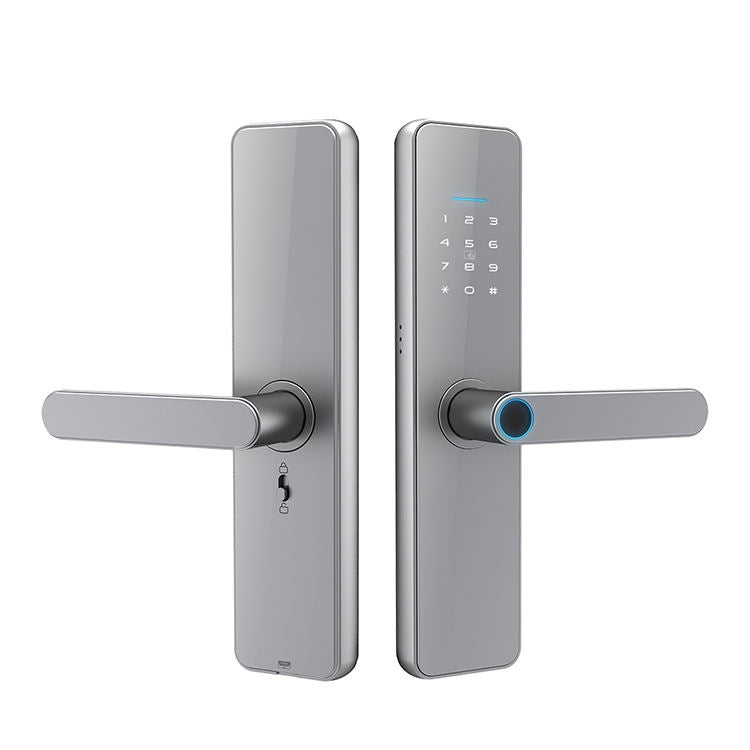 C91 Tuya Smart WiFi Password Fingerprint Electronic Door Lock(Silver) by buy2fix