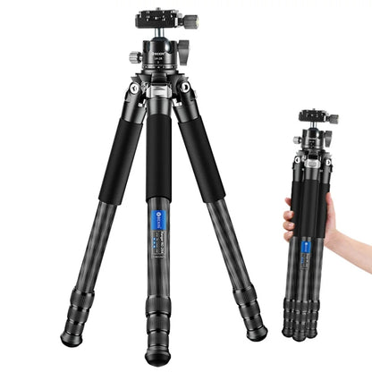 BEXIN RC254+LH-28 Carbon Fiber Portable Folding Tripod SLR Camera Low Gravity Center Gimbal Photography Bracket - Tripods by BEXIN | Online Shopping UK | buy2fix