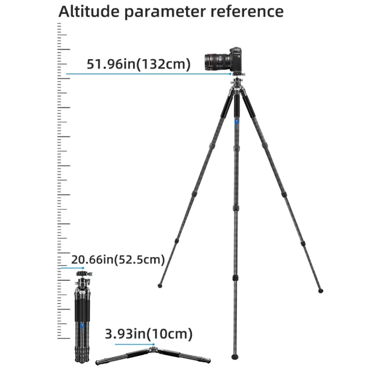 BEXIN RC254+LH-28 Carbon Fiber Portable Folding Tripod SLR Camera Low Gravity Center Gimbal Photography Bracket - Tripods by BEXIN | Online Shopping UK | buy2fix