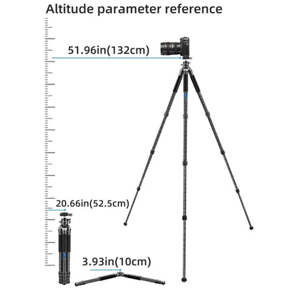 BEXIN RC254+LH-28 Carbon Fiber Portable Folding Tripod SLR Camera Low Gravity Center Gimbal Photography Bracket - Tripods by BEXIN | Online Shopping UK | buy2fix